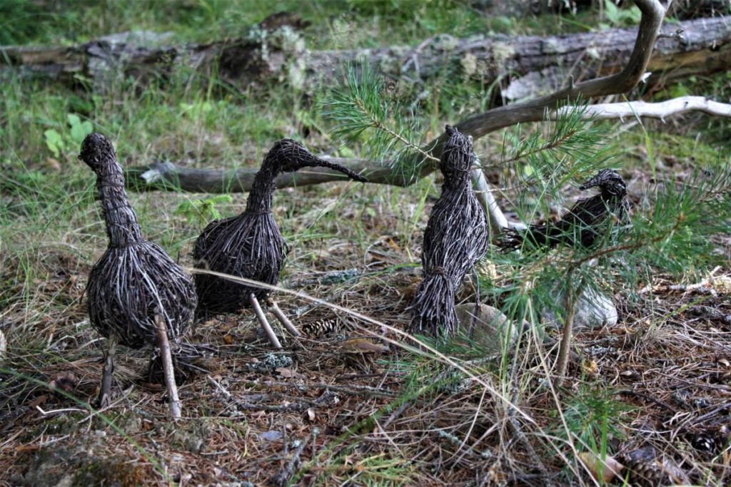 Birdlife Suomi haastaa lintufanit bongailemaan pönttöjä tänä viikonloppuna