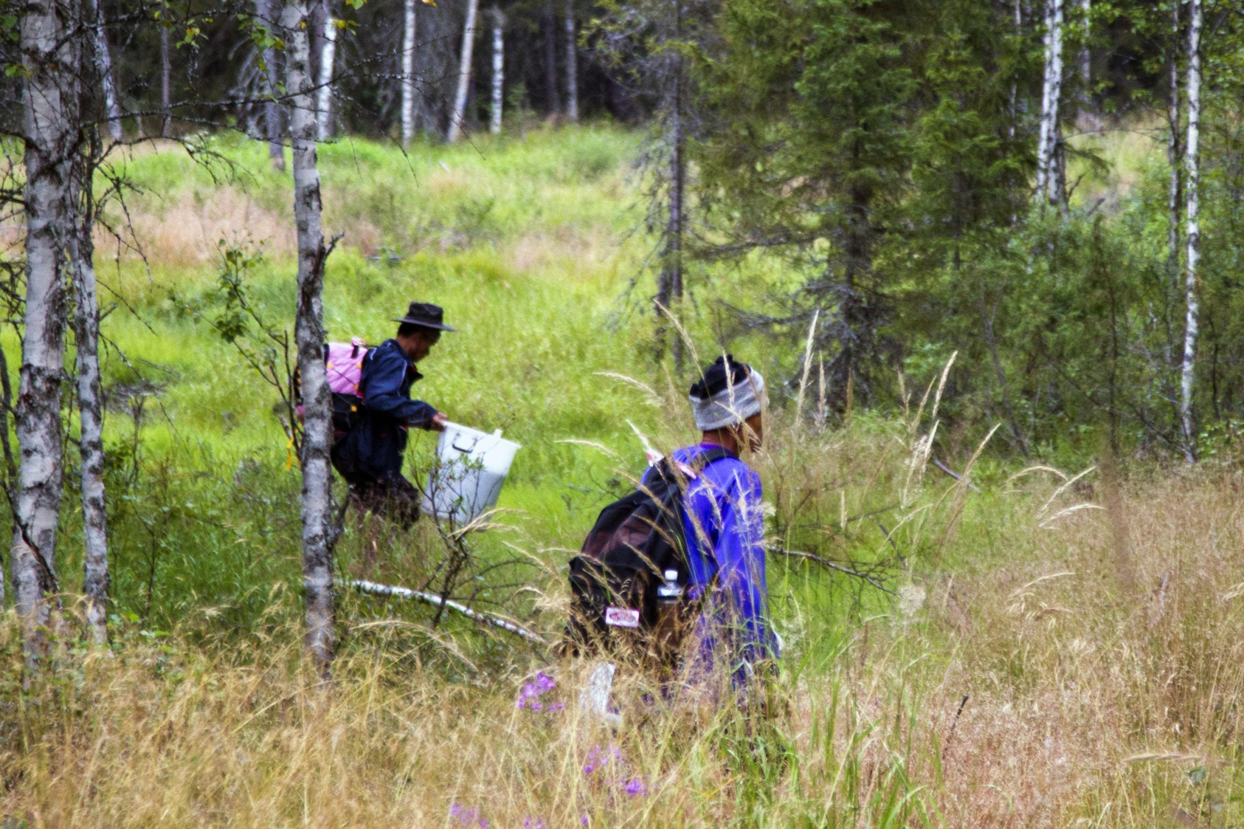 How To Make Letters Italic On Iphone