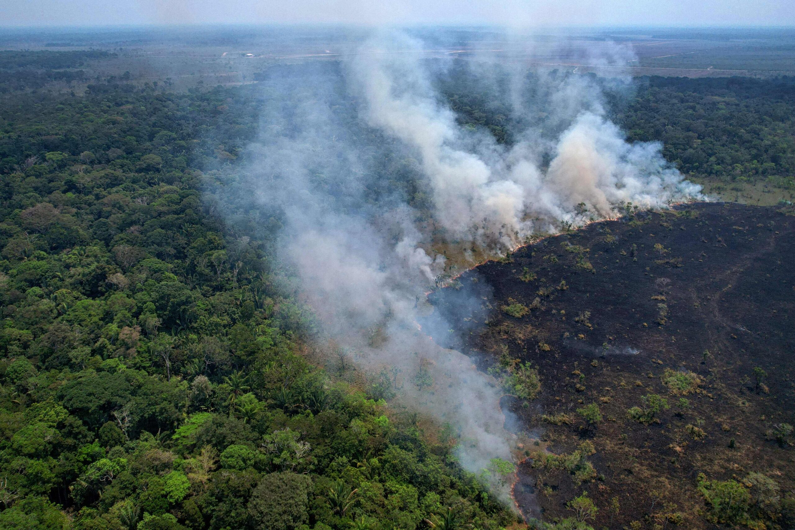 Amnesty International Demands Unified Action on South American Wildfires