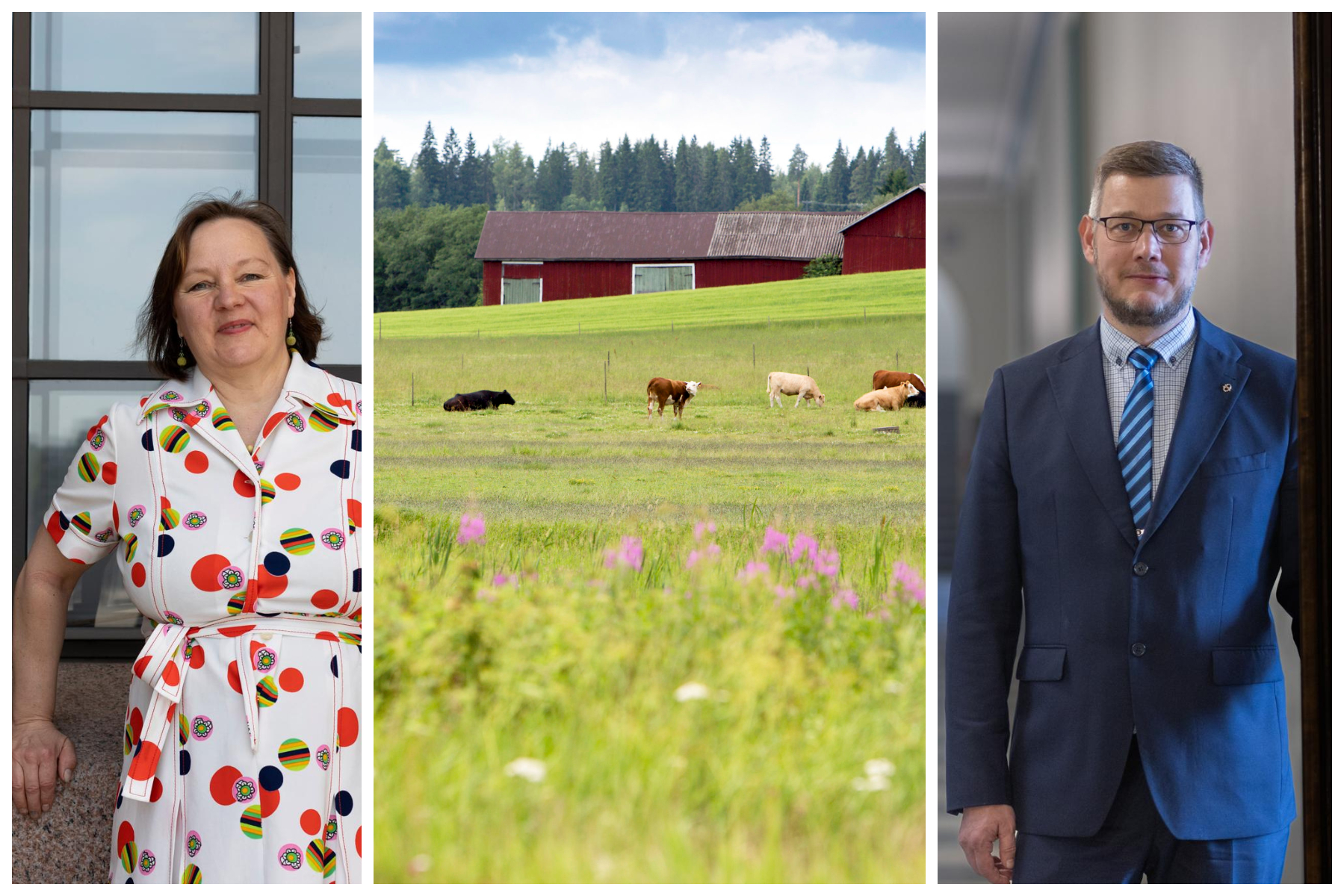 Tempun ”Hallitus teki aivan järkyttävän tempun” – keskustalaisilta ...