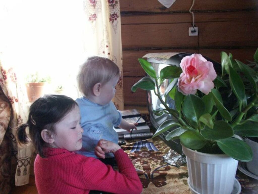 Samu-Sirkka toi Disney-joulun suomalaisiin koteihin 1978 – Yle kiisti epäilyt haluttomuudesta näyttää amerikkalaisyhtiön tuotantoa