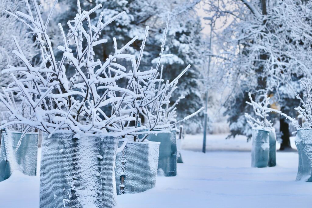 Koko maassa voimassa pakkasvaroitus – pakkanen kiristyy iltaa kohti