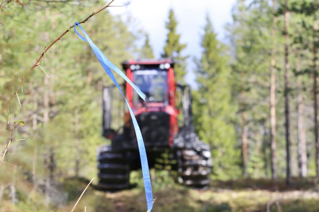 Sahateollisuus: Valtion metsien hakkuurajoitukset iskisivät eniten Pohjois-Suomeen