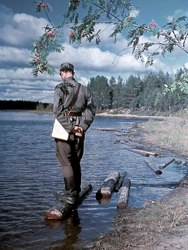 Hyökkäysvaihe 1941 oli voitokas