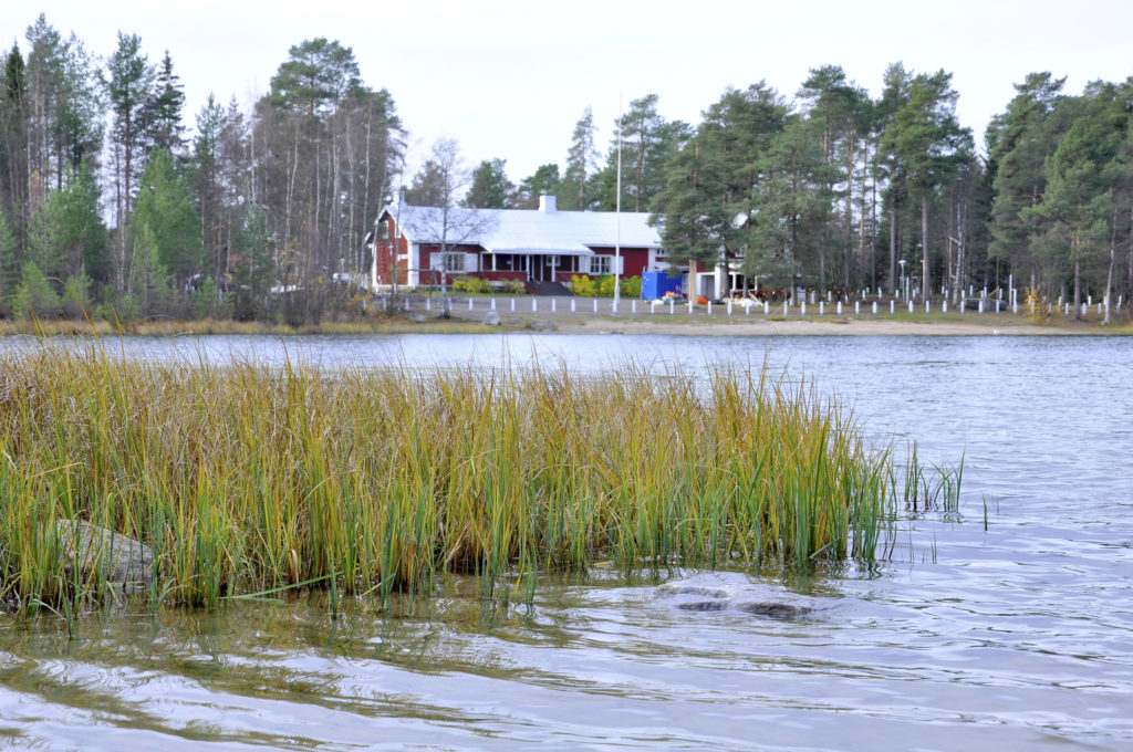 Tilasto: Jo kolmasosa talo- ja mökkikaupoista tehdään verkos