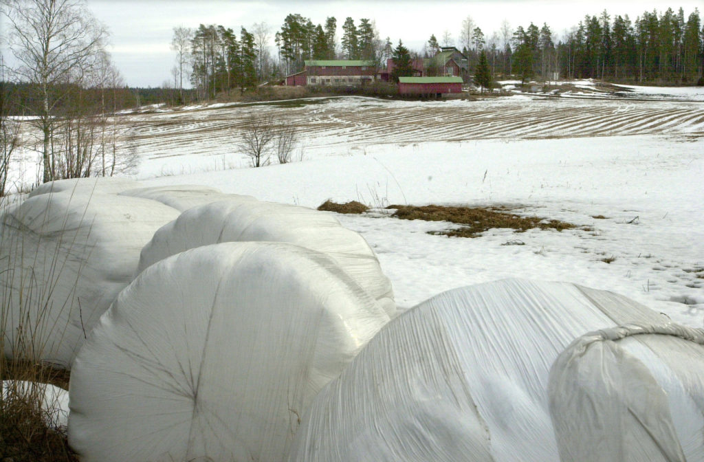 Pellervon taloustutkimus: Ruoan hinta nousee tänä 2,5 prosenttia