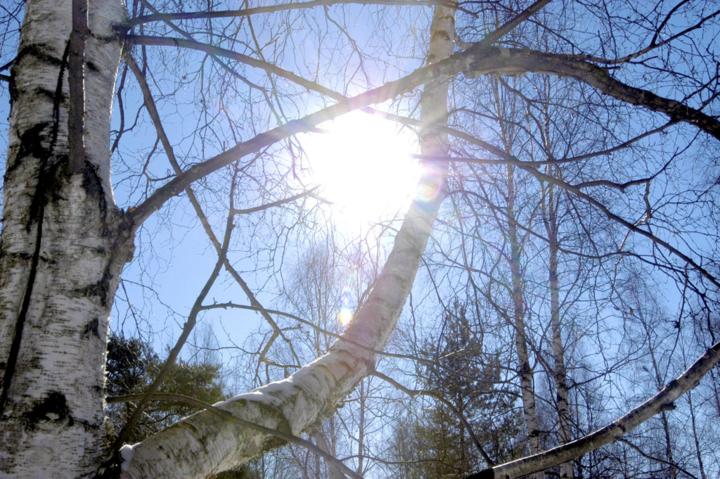 STUK: Imatran ilmassa vähän radioaktiivista kobolttia